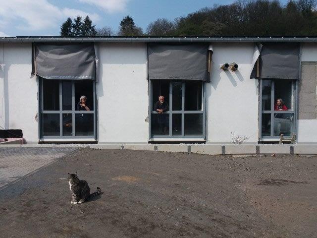 Haupthaus Fensterportrait 16.4. (Small)